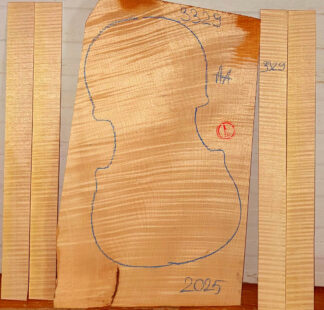 Violin No.3329 One piece Back and Sides