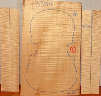Violin No.3330 One piece Back and Sides