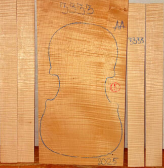 Violin No.3333 One piece Back and Sides
