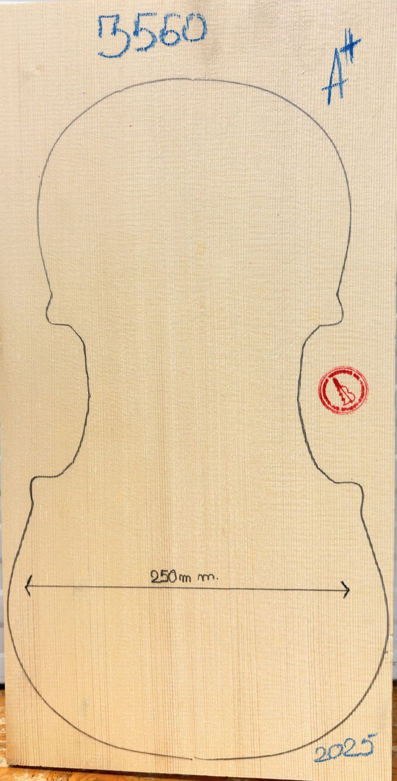 Viola No.3560 One piece Top