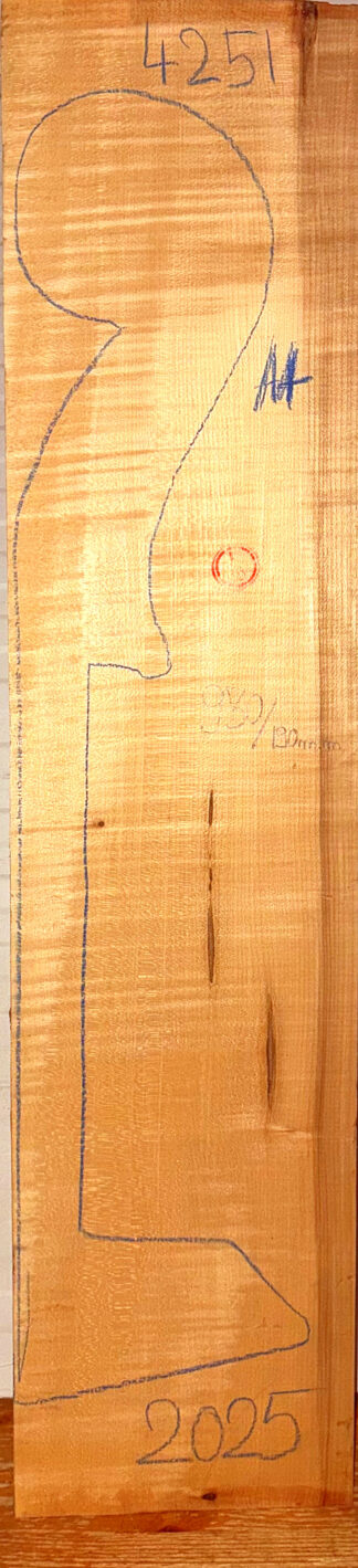 Double Bass No.4251 Neck