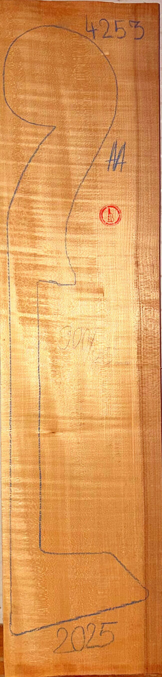 Double Bass No.4253 Neck