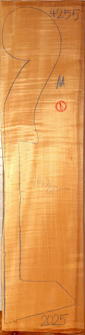 Double Bass No.4255 Neck