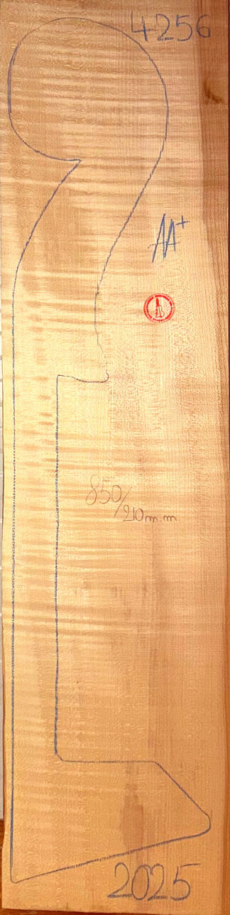 Double Bass No.4256 Neck