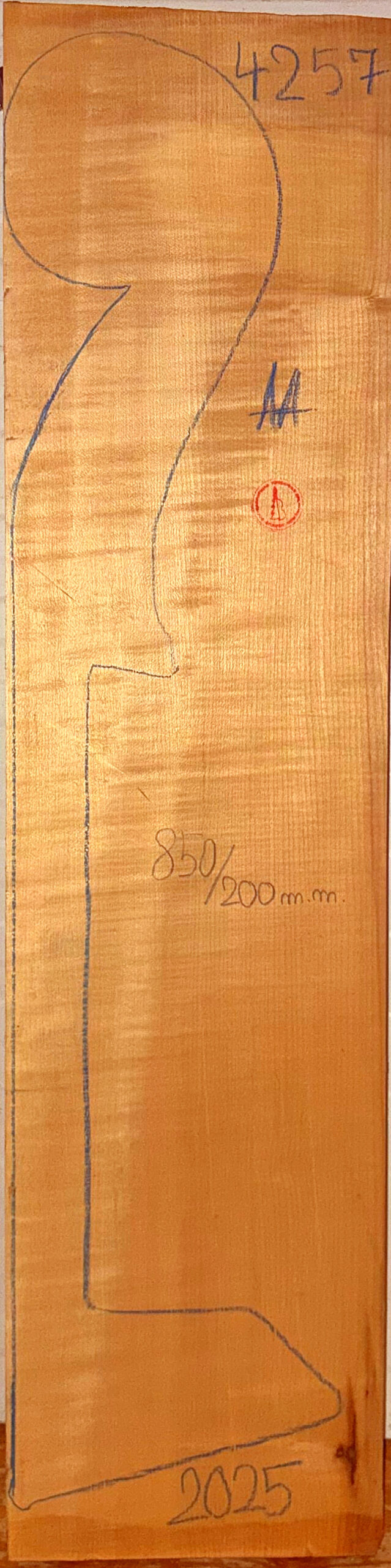 Double Bass No.4257 Neck