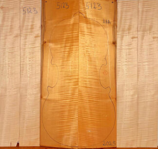 Cello No.5123 Back and Sides
