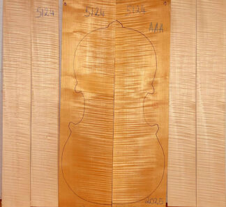 Cello No.5124 Back and Sides