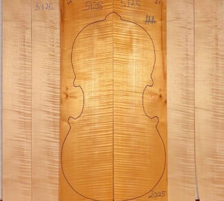 Cello No.5126 Back and Sides