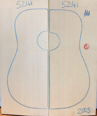 Archtop No.5241 Top