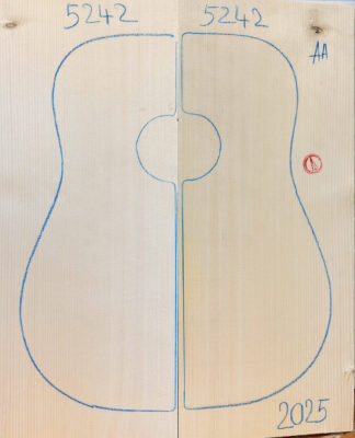 Archtop No.5242 Top