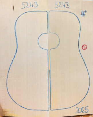 Archtop No.5243 Top