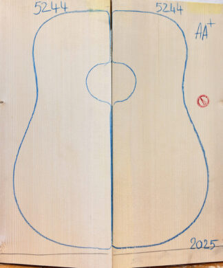 Archtop No.5244 Top