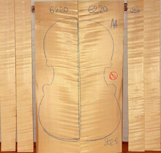 Violin No.6220 Back and Sides
