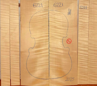 Violin No.6221 Back and Sides