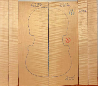 Violin No.6222 Back and Sides