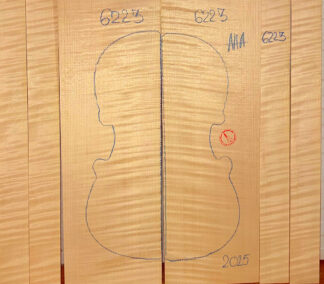 Violin No.6223 Back and Sides