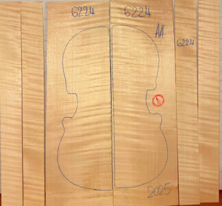 Violin No.6224 Back and Sides