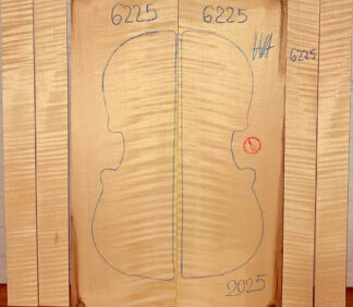 Violin No.6225 Back and Sides