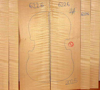 Violin No.6226 Back and Sides