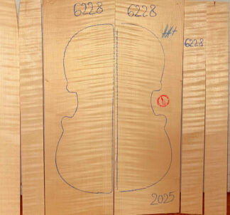 Violin No.6228 Back and Sides