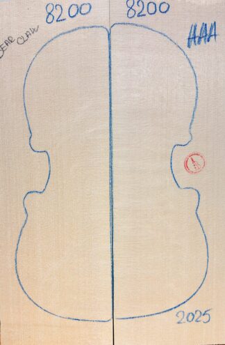 Violin No.8200 Top