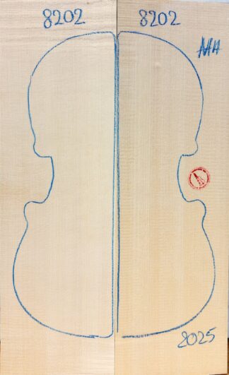 Violin No.8202 Top