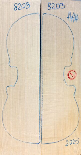 Violin No.8203 Top