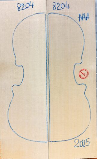 Violin No.8204 Top