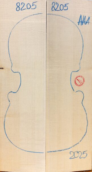 Violin No.8205 Top