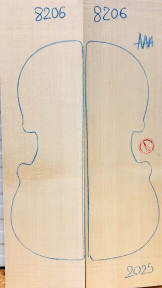 Violin No.8206 Top