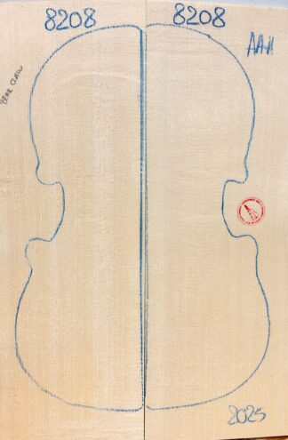 Violin No.8208 Top
