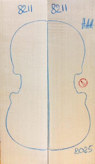 Violin No.8211 Top
