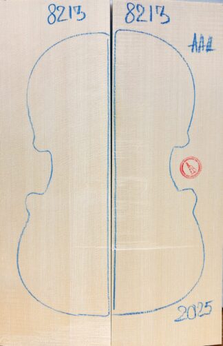 Violin No.8213 Top