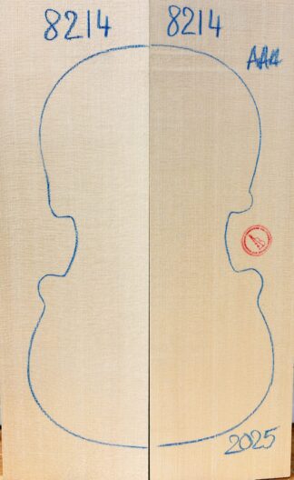 Violin No.8214 Top