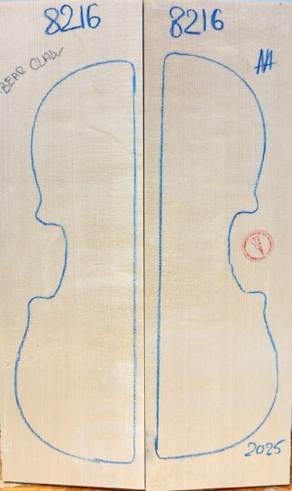 Violin No.8216 Top