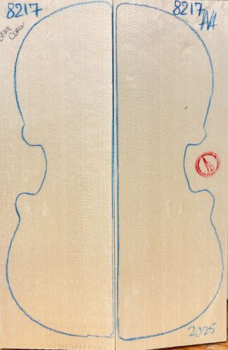 Violin No.8217 Top