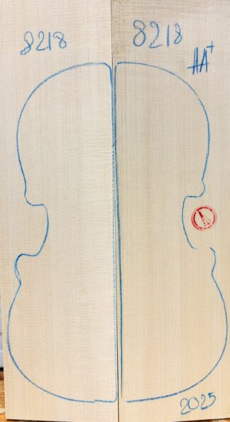 Violin No.8218 Top