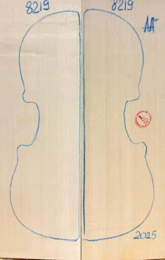 Violin No.8219 Top