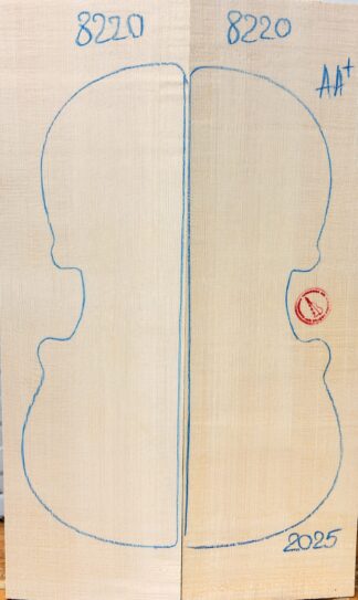 Violin No.8220 Top