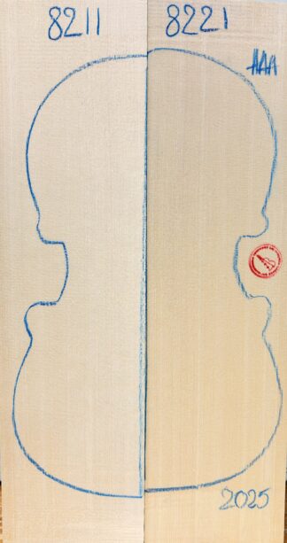 Violin No.8221 Top